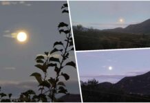 Το φεγγάρι του κάστορα στο νυχτερινό ουρανό των Πουλάτων