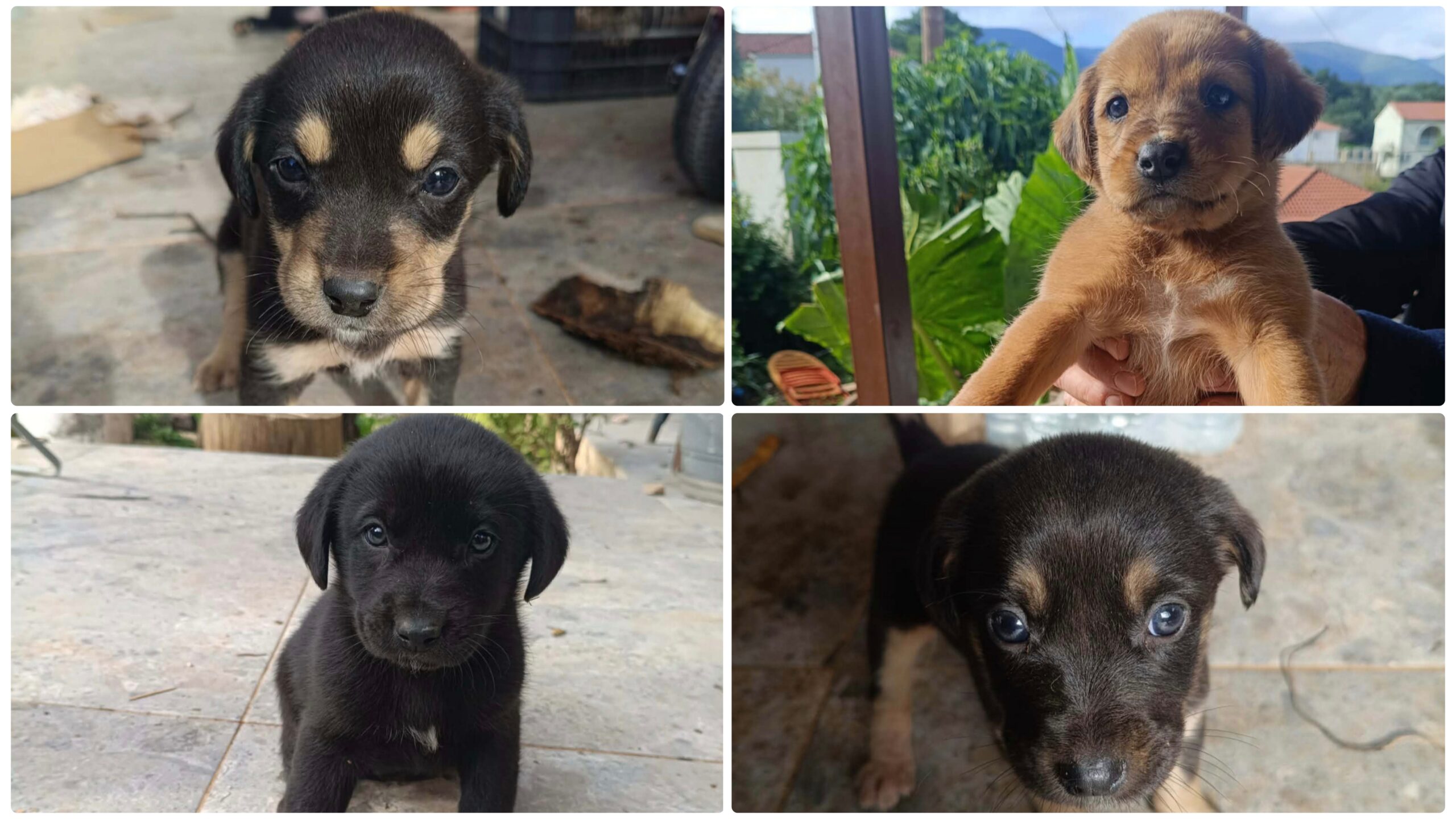 Polish_20251211_170940882