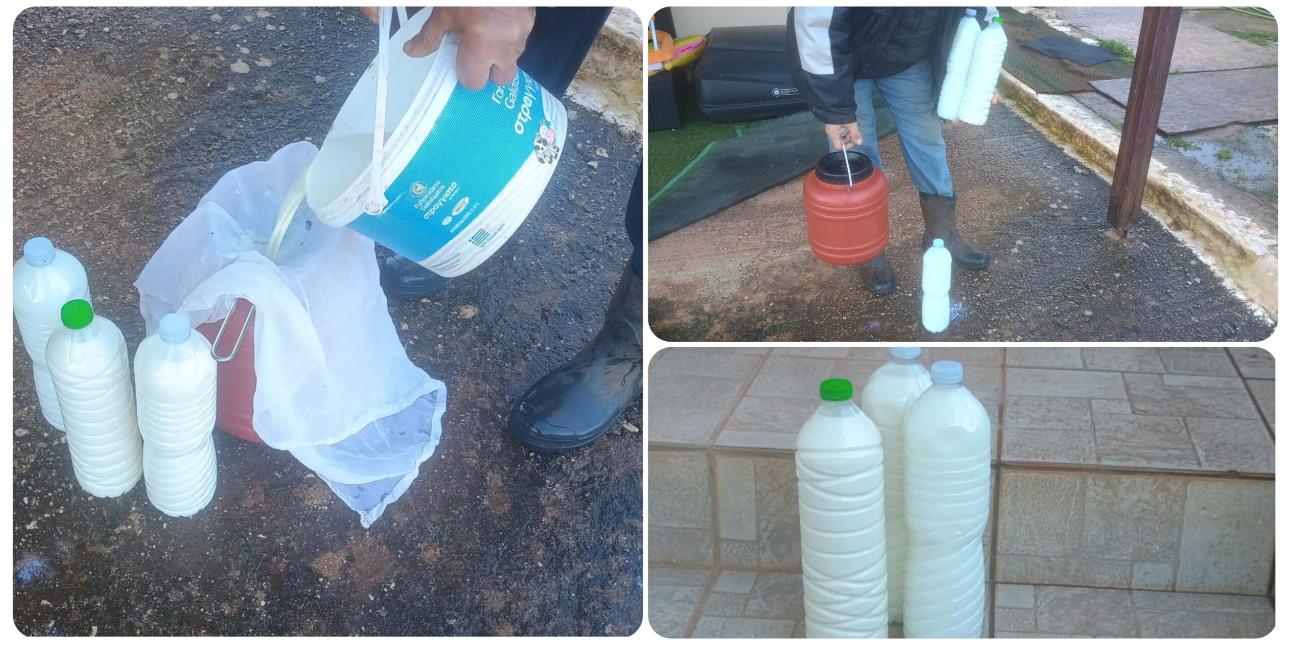 Polish_20260222_111124013