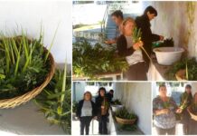 Έτοιμα τα βάγια στον Άγιο Παντελεήμονα Πουλάτων