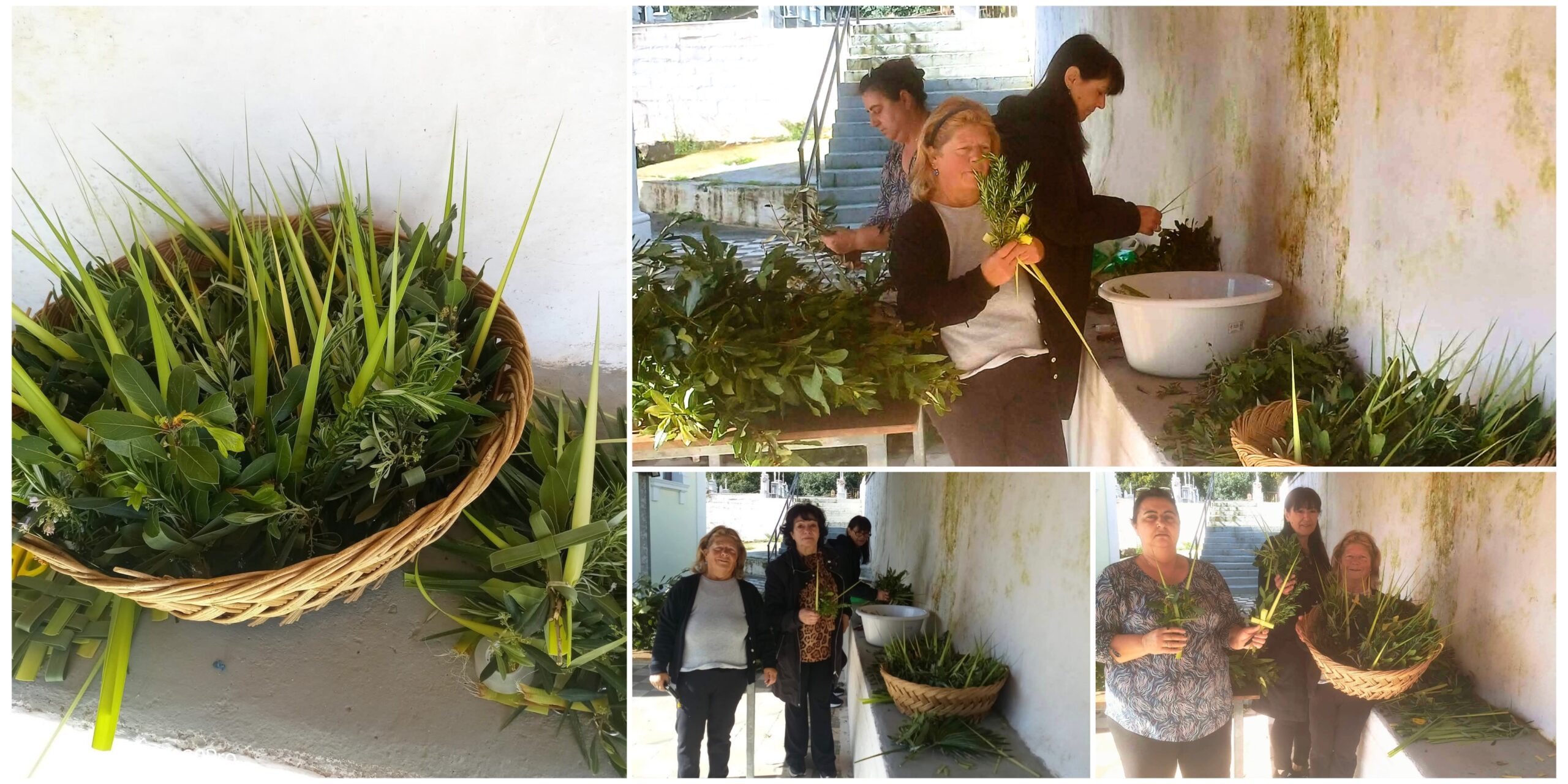 Polish_20260404_165633056