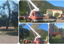 Κλάδεμα ψηλών δέντρων στην πλατεία των Πουλάτων